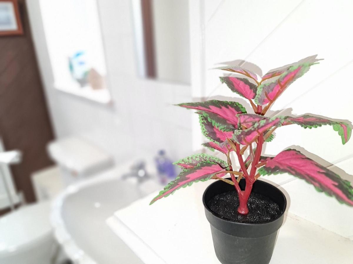 דירות ניוקאסל Large 3 Bed Flat, Free Parking מראה חיצוני תמונה